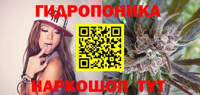 спиды Камышлов