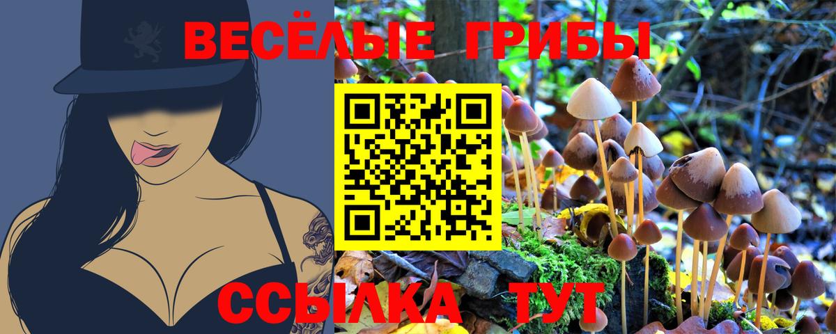 Псилоцибиновые грибы прущие грибы Фролово